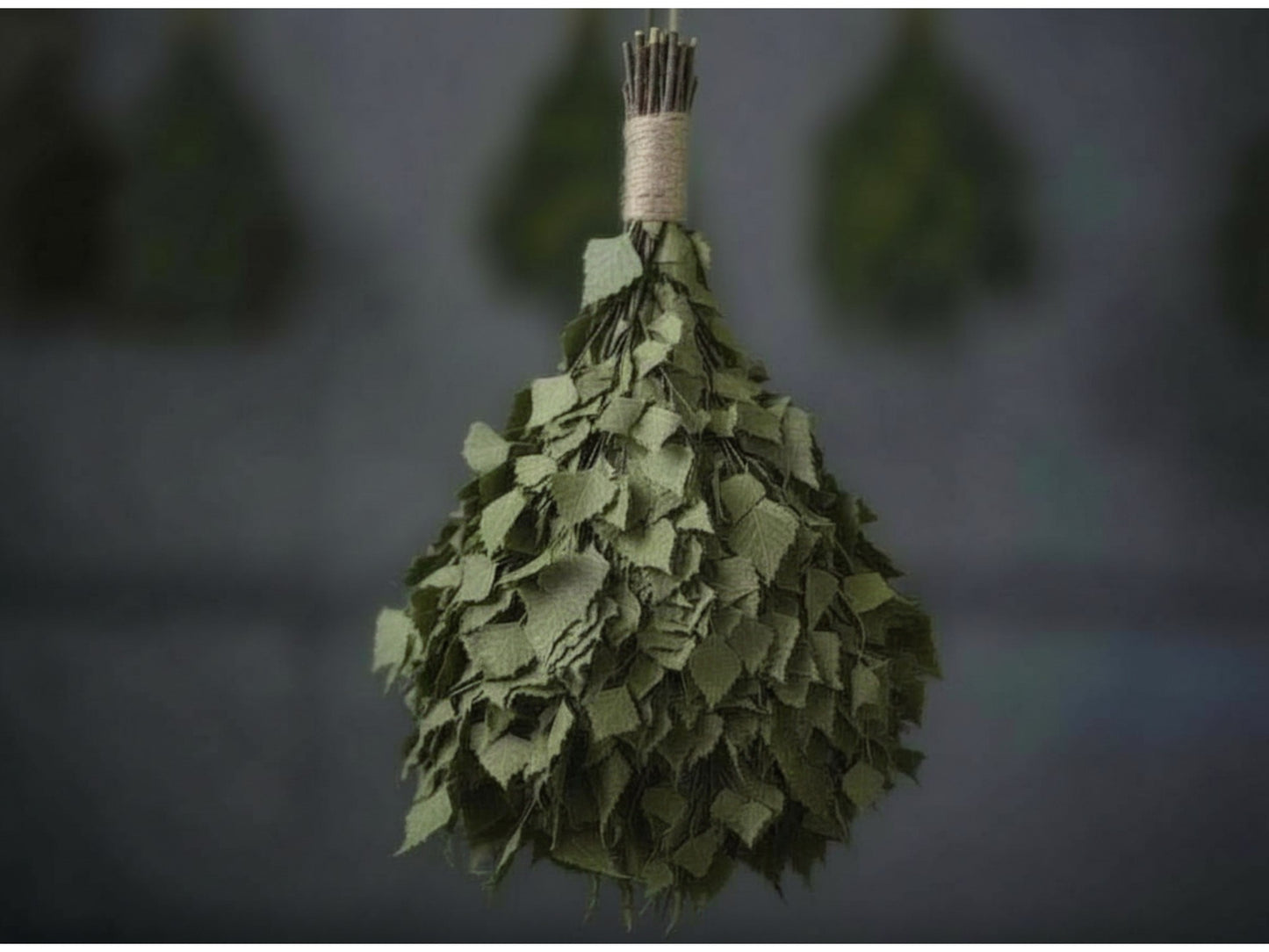 【予約販売】森採り・北海道白樺ヴィヒタ(7〜8月発送)